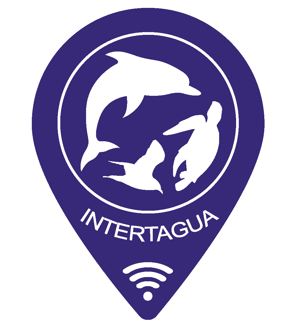 Intertagua