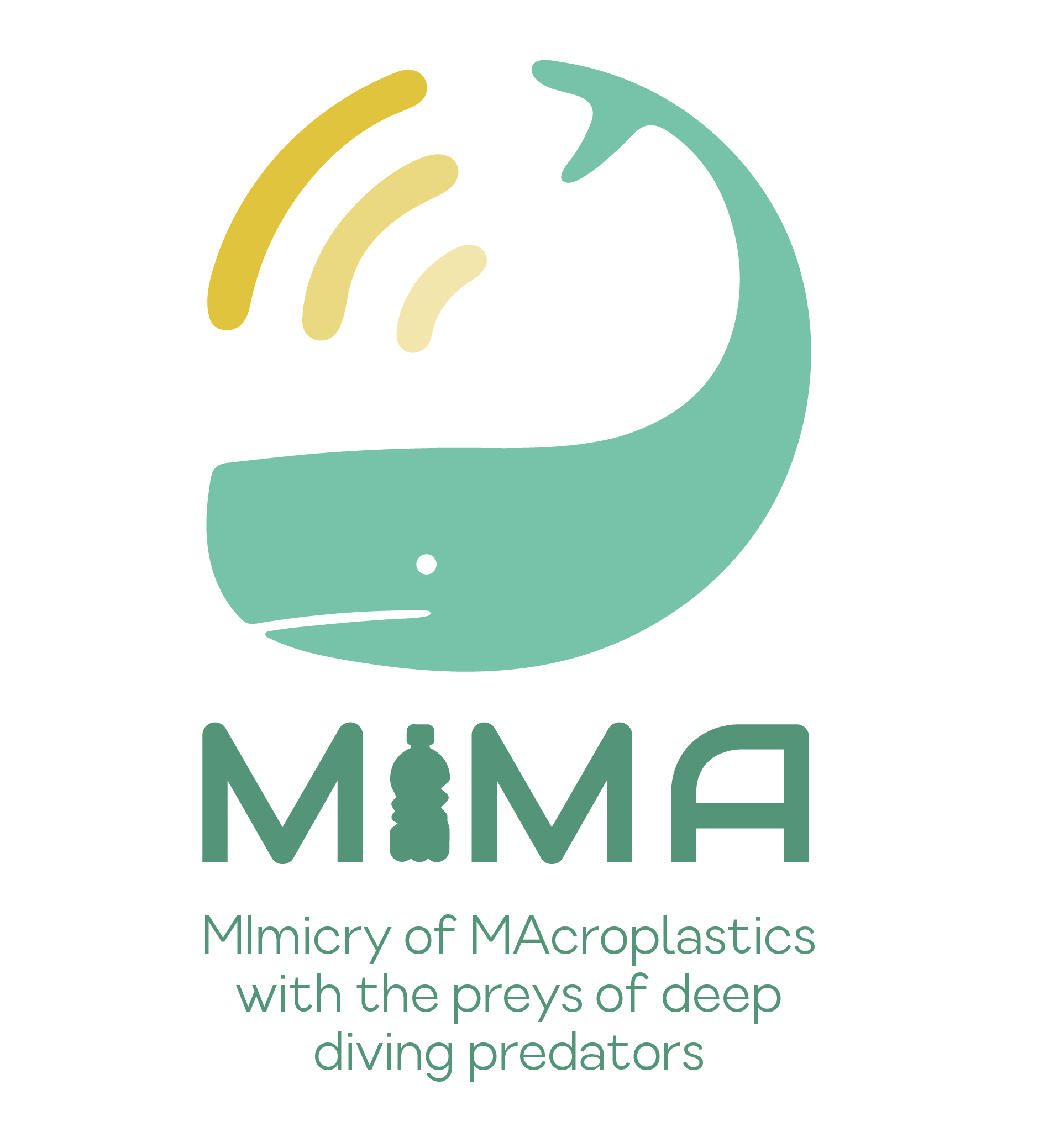 MIMA Project