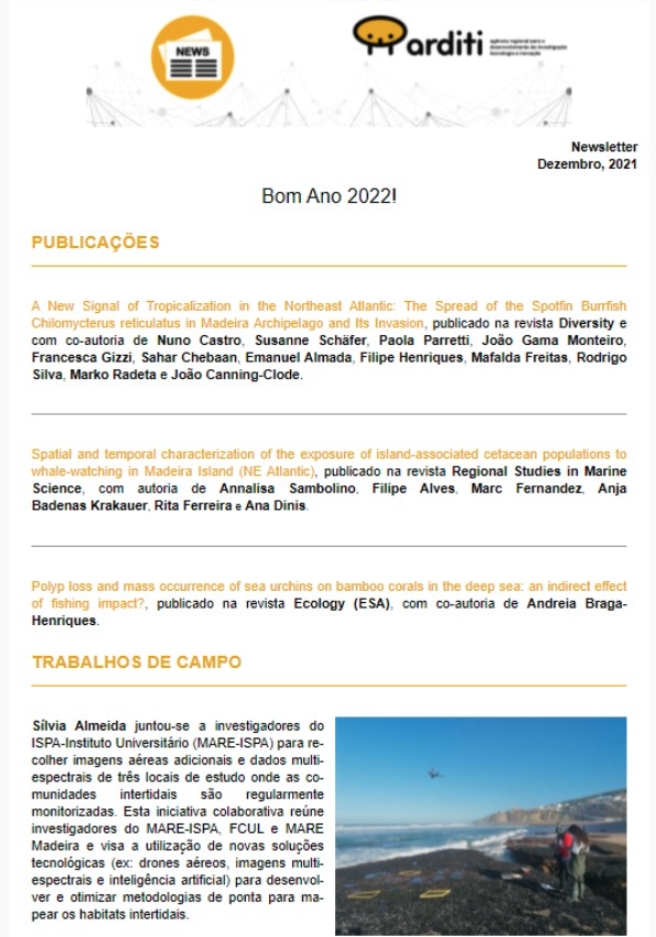 Newsletter Dezembro 2021