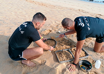 Investigadores do MARE Madeira estiveram em trabalho de campo no Porto Santo