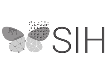 O SIH - Smart Islands Hub (Polo de Inovação Digital da RAM) foi aprovado para Integrar a Rede Nacional de Digital Innovation Hubs