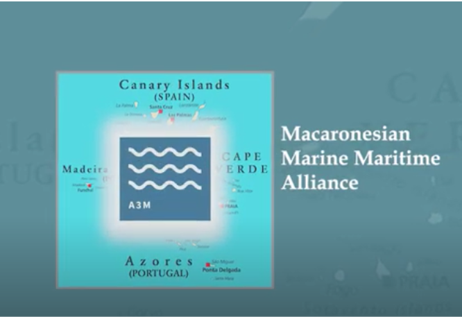 Vídeo da Aliança Marino-Marítima na Macaronésia