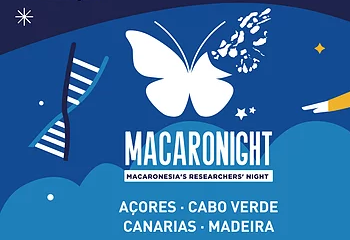 O evento Macaronight 2020 na Madeira já pode ser visto online