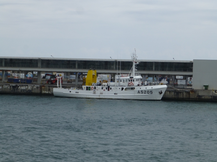 NRP Auriga atracado no porto do Funchal